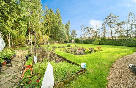 7 bedroom house to rent - Kings Road, Ascot, Berkshire, SL5 - Property View 2